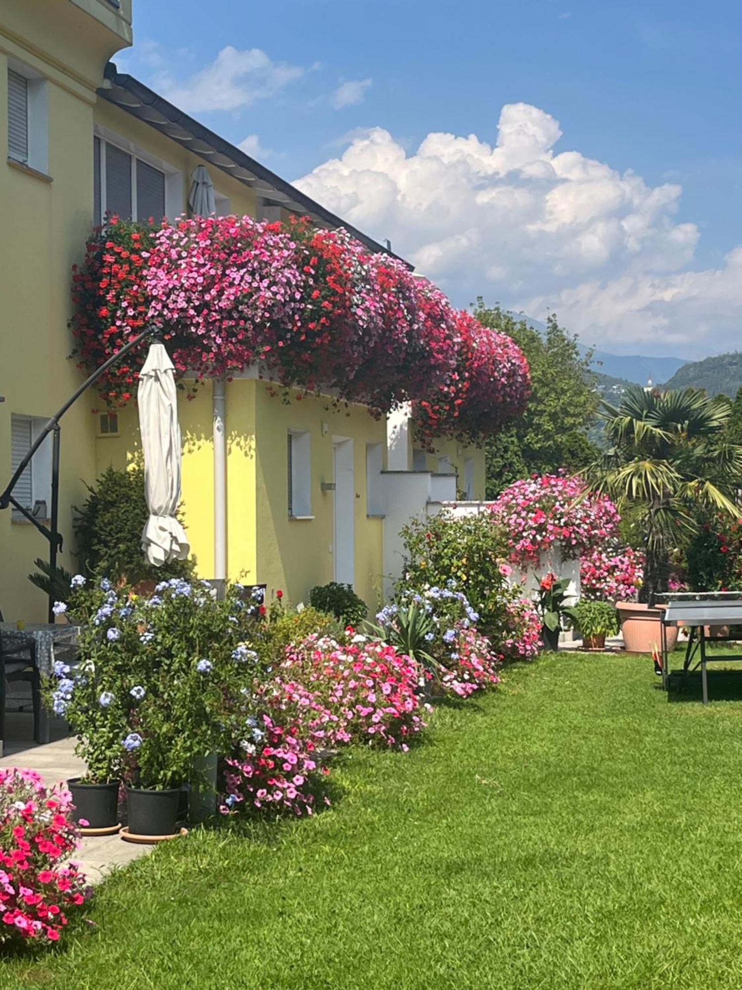 Gartenhof بريسّانوني المظهر الخارجي الصورة