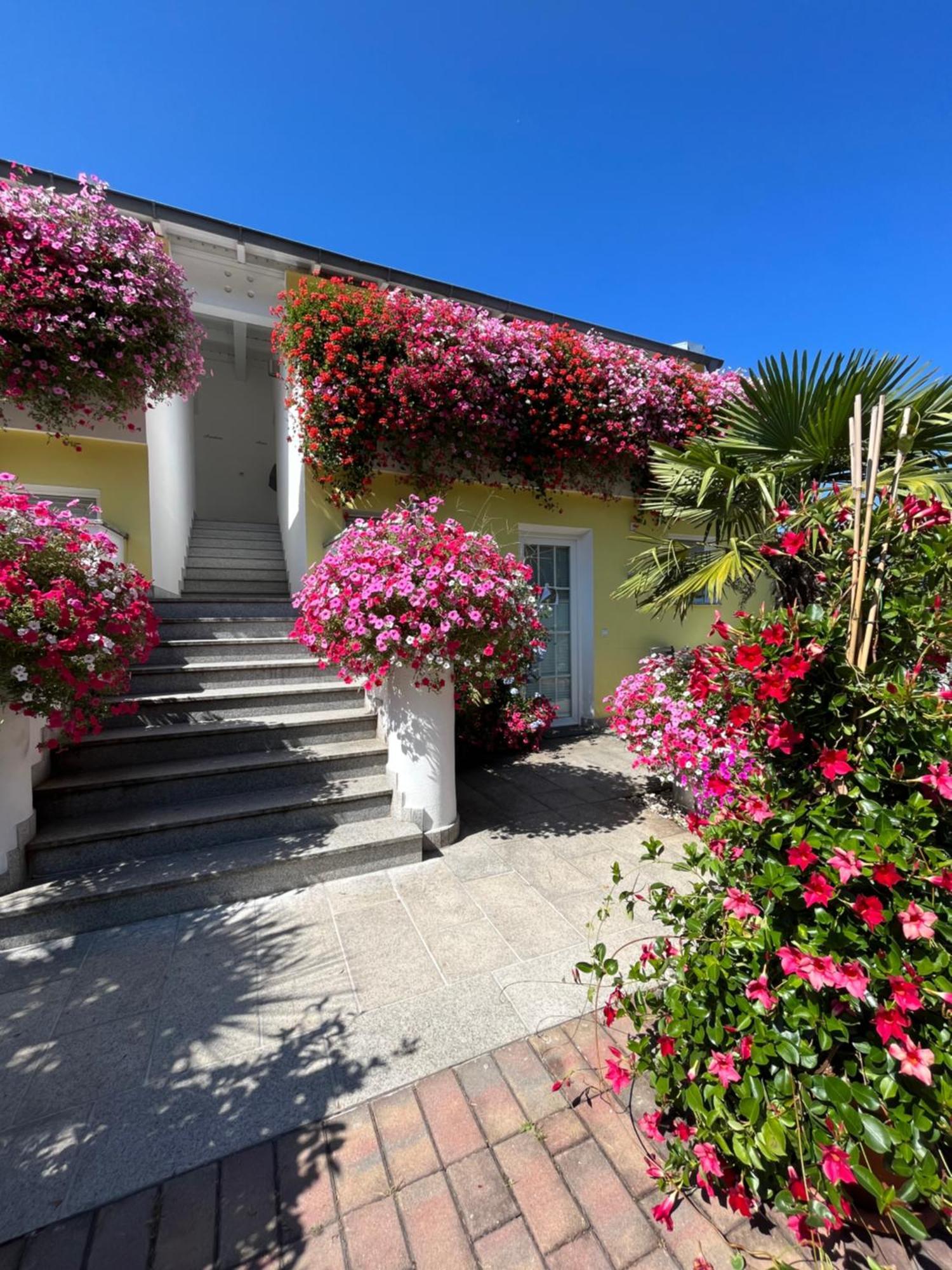 Gartenhof بريسّانوني المظهر الخارجي الصورة