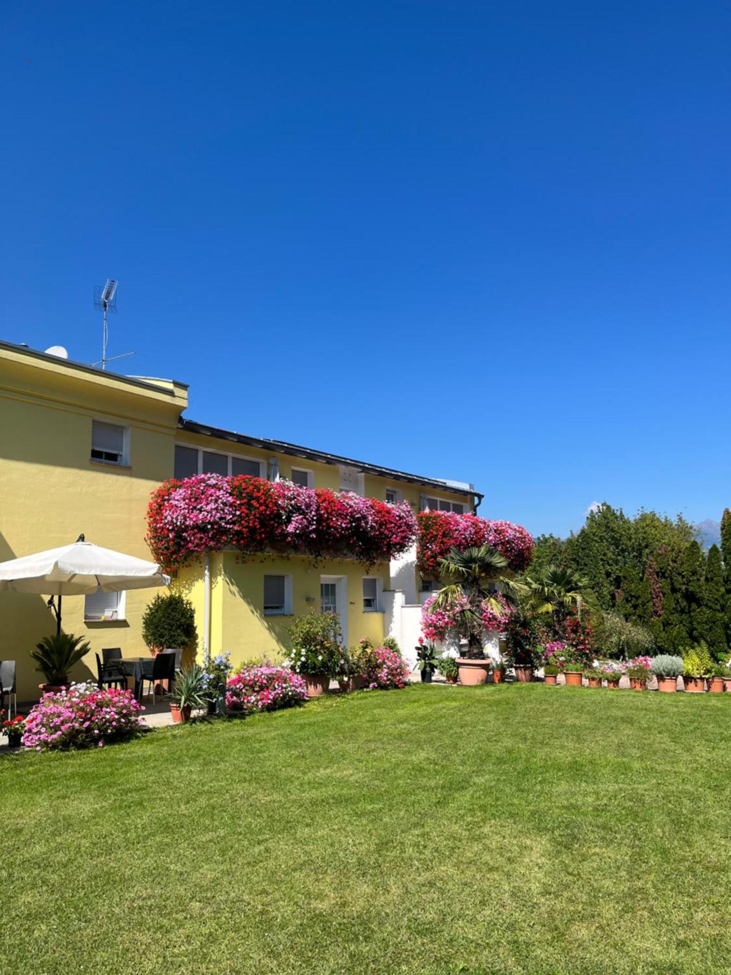 Gartenhof بريسّانوني المظهر الخارجي الصورة