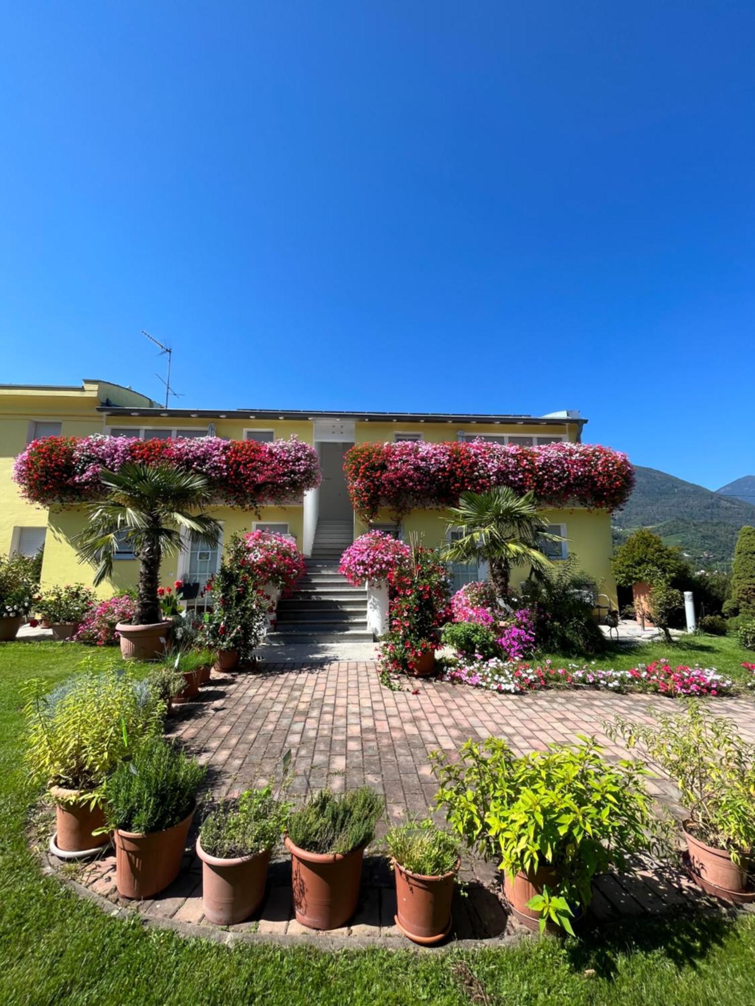 Gartenhof بريسّانوني المظهر الخارجي الصورة