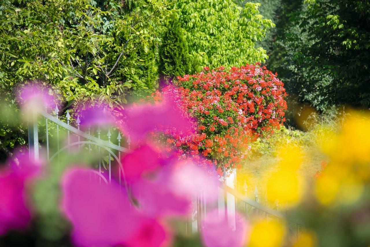 Gartenhof بريسّانوني المظهر الخارجي الصورة