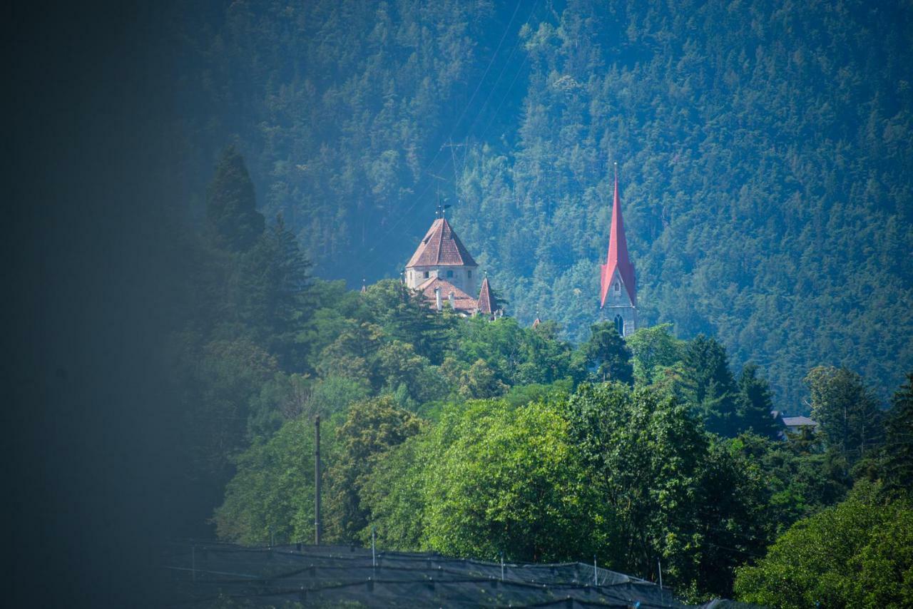 Gartenhof بريسّانوني المظهر الخارجي الصورة