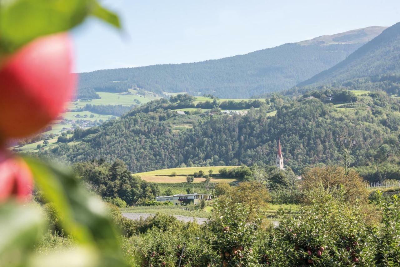 Gartenhof بريسّانوني المظهر الخارجي الصورة