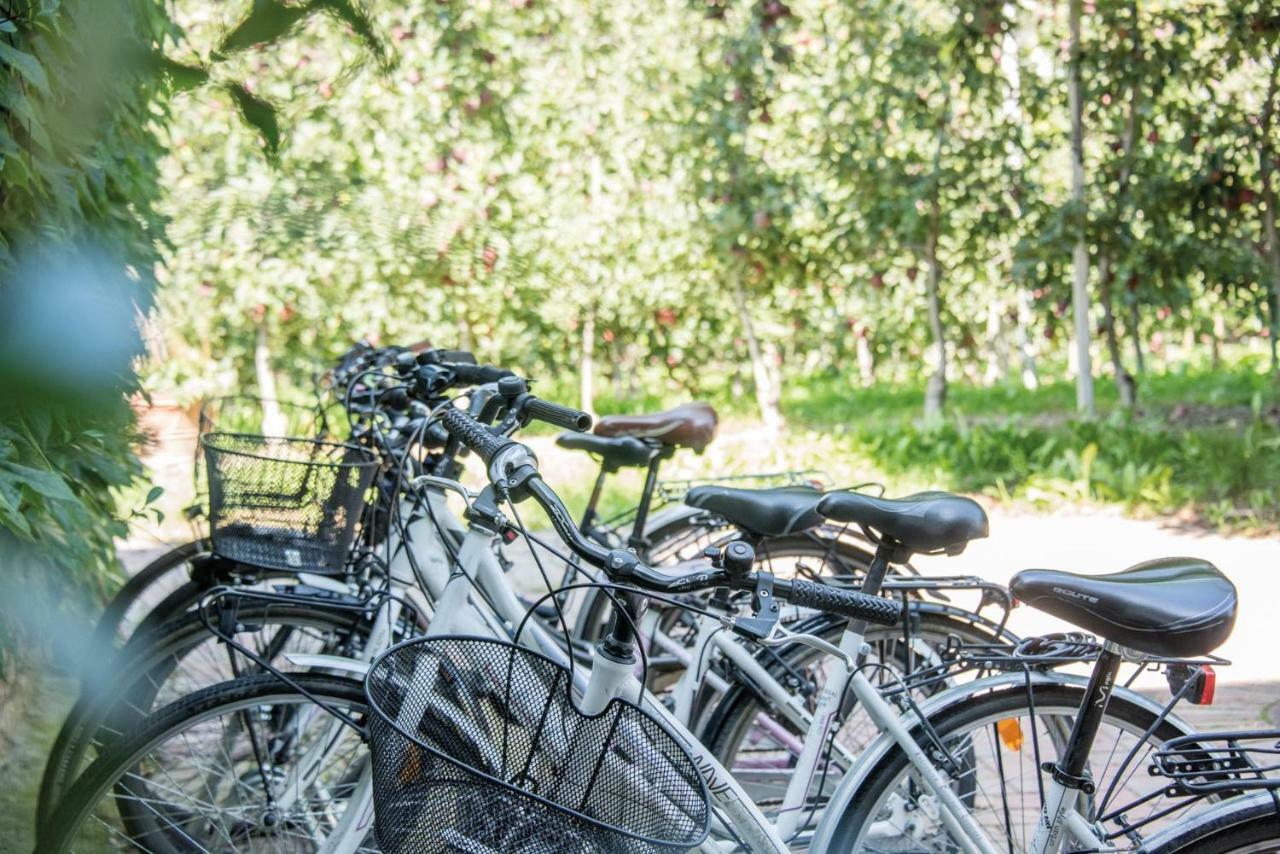 Gartenhof بريسّانوني المظهر الخارجي الصورة